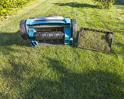 Lawn Aeration, La Grande, OR